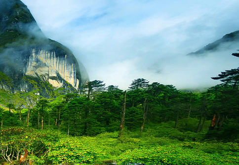 健康、绿色、天然